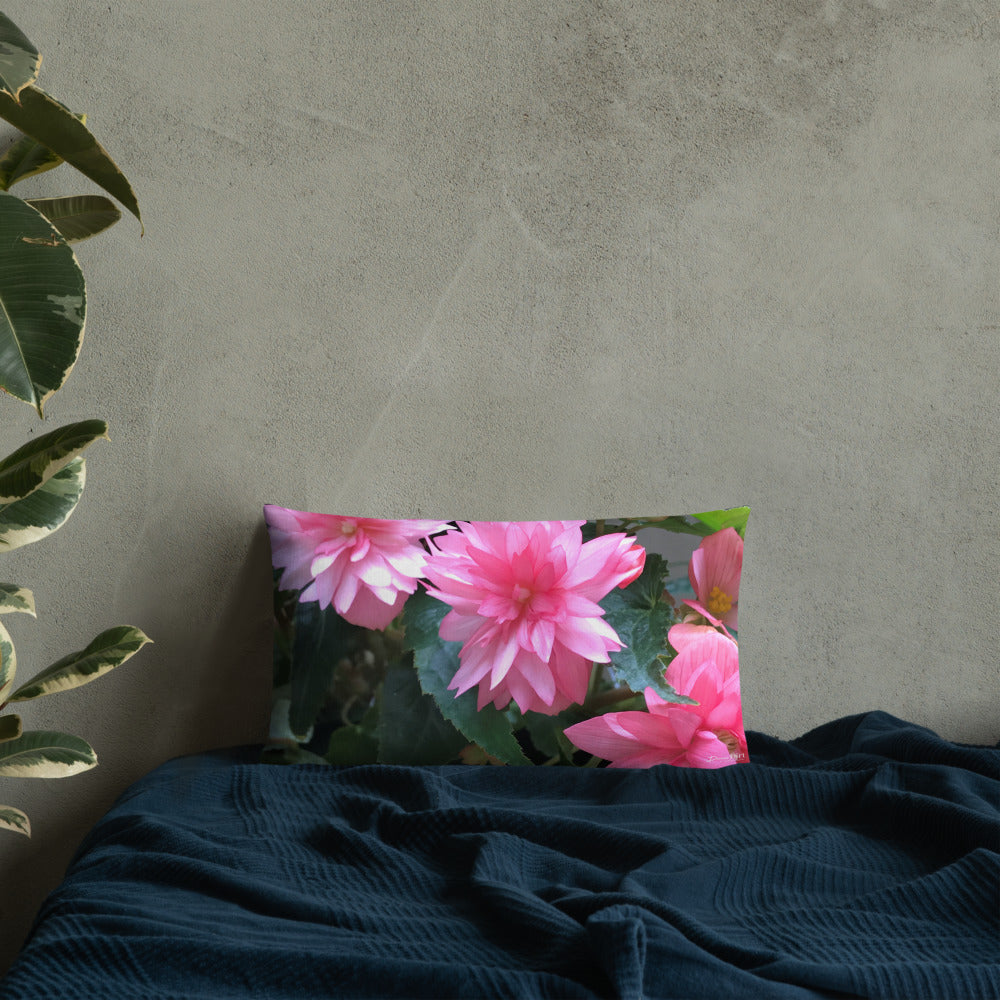 Pink Begonia Premium Pillow with Pink Back