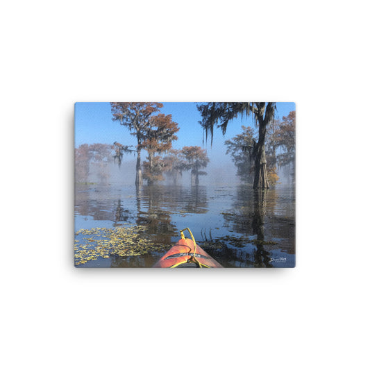 Atchafalaya Basin Beauty. 12x16 Print on Canvas