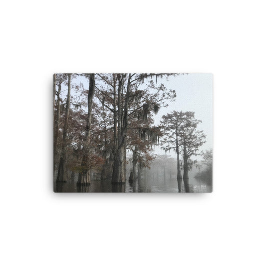 Foggy Morning on the Atchafalaya.  12x16 Print on Canvas