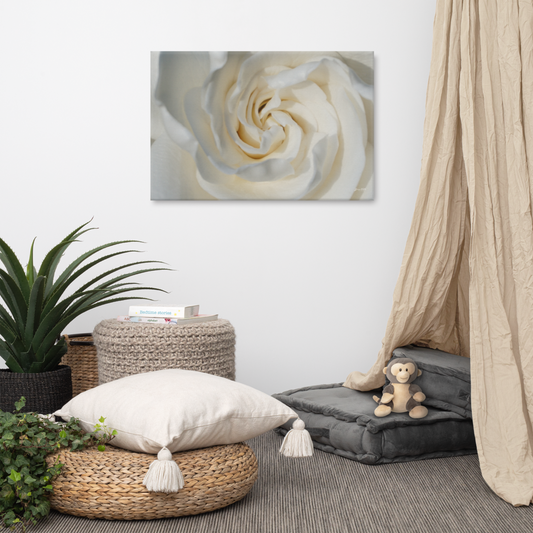 White Gardenia  24x36