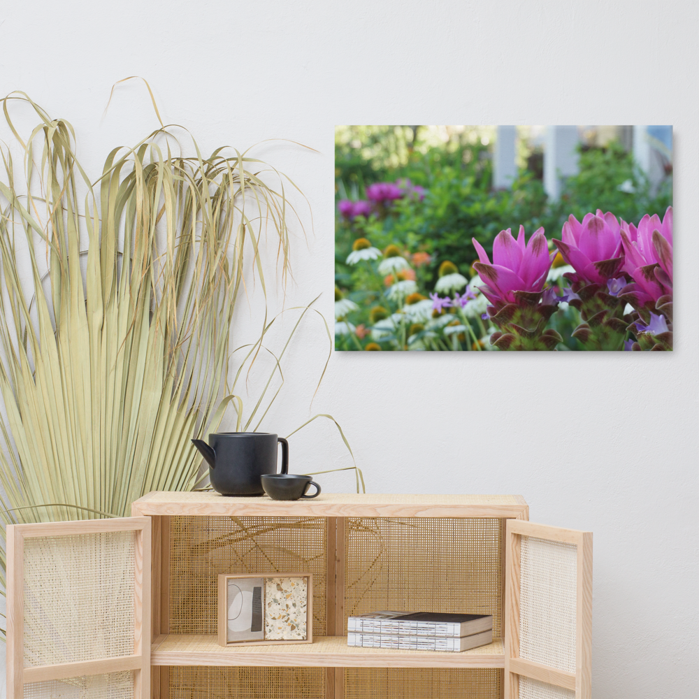 Siam Tulips Canvas 24x36