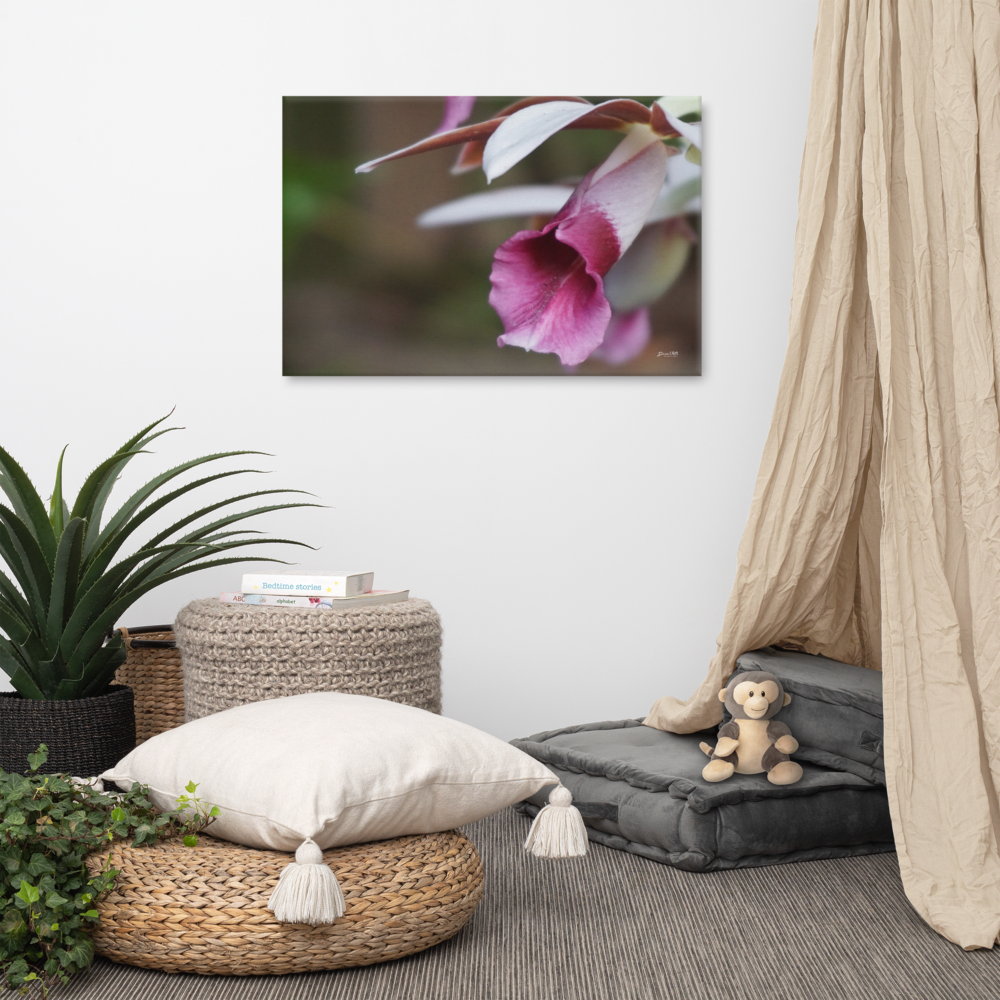 Nun's Cap Orchid Canvas 24x36