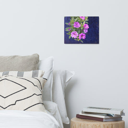 Metal Print!  Purple Petunias.  14x11