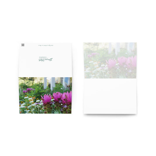 Siam Tulips