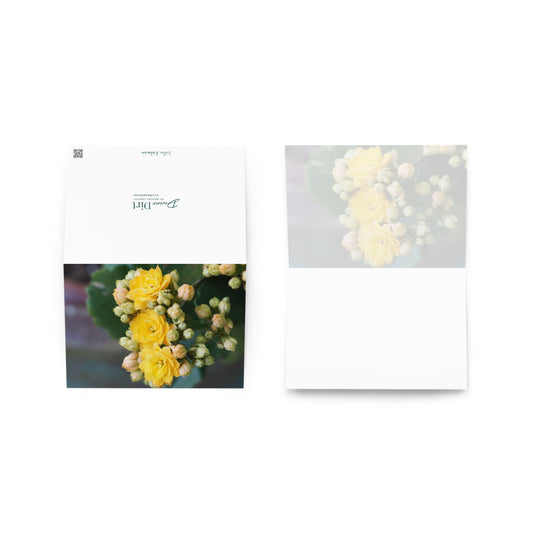 Yellow Kalanchoe