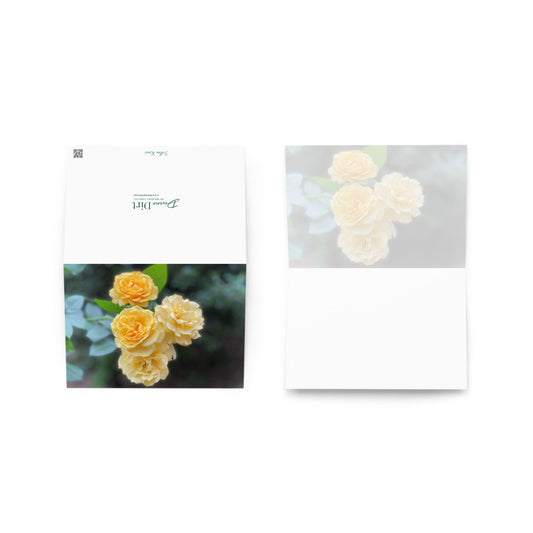 Yellow Rose