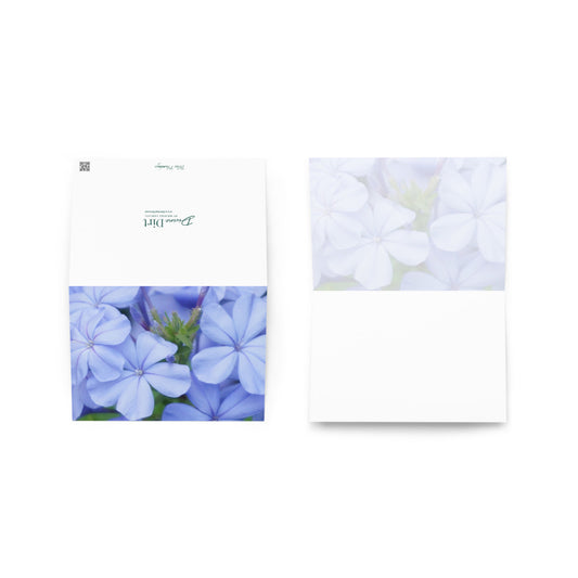 Blue Plumbago