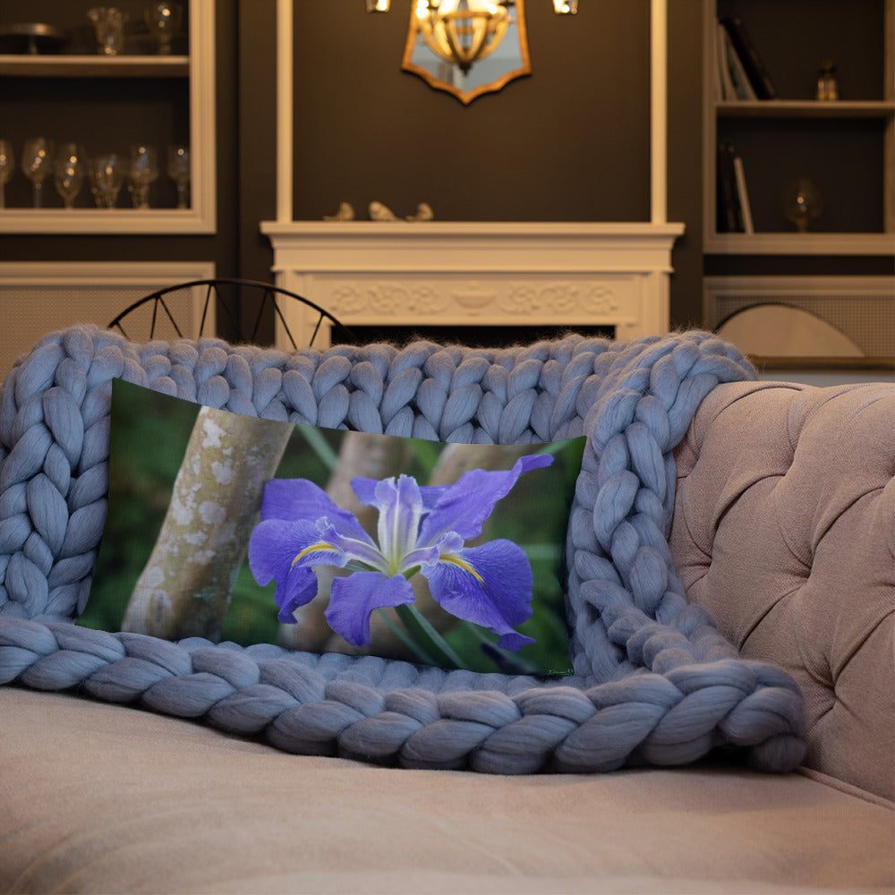 Purple Louisiana Iris Premium Pillow with White Back