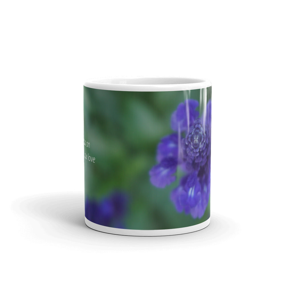 Purple Salvia-Indigo Spires  "Focus on what you love"