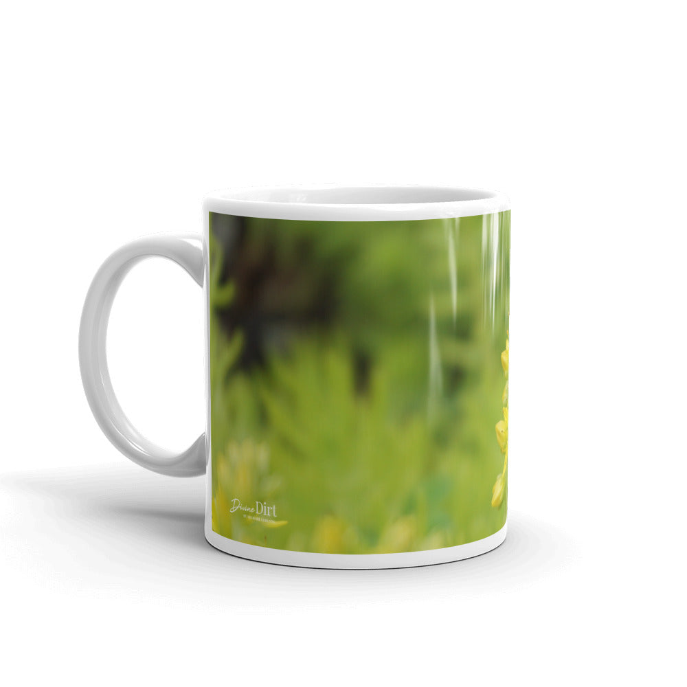 Lime Green Sedum without a message