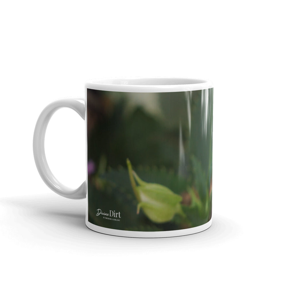 Pink Sun Impatiens without a message