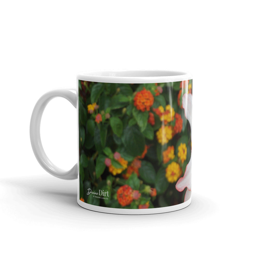 White Amaryllis with orange lantana  without a message