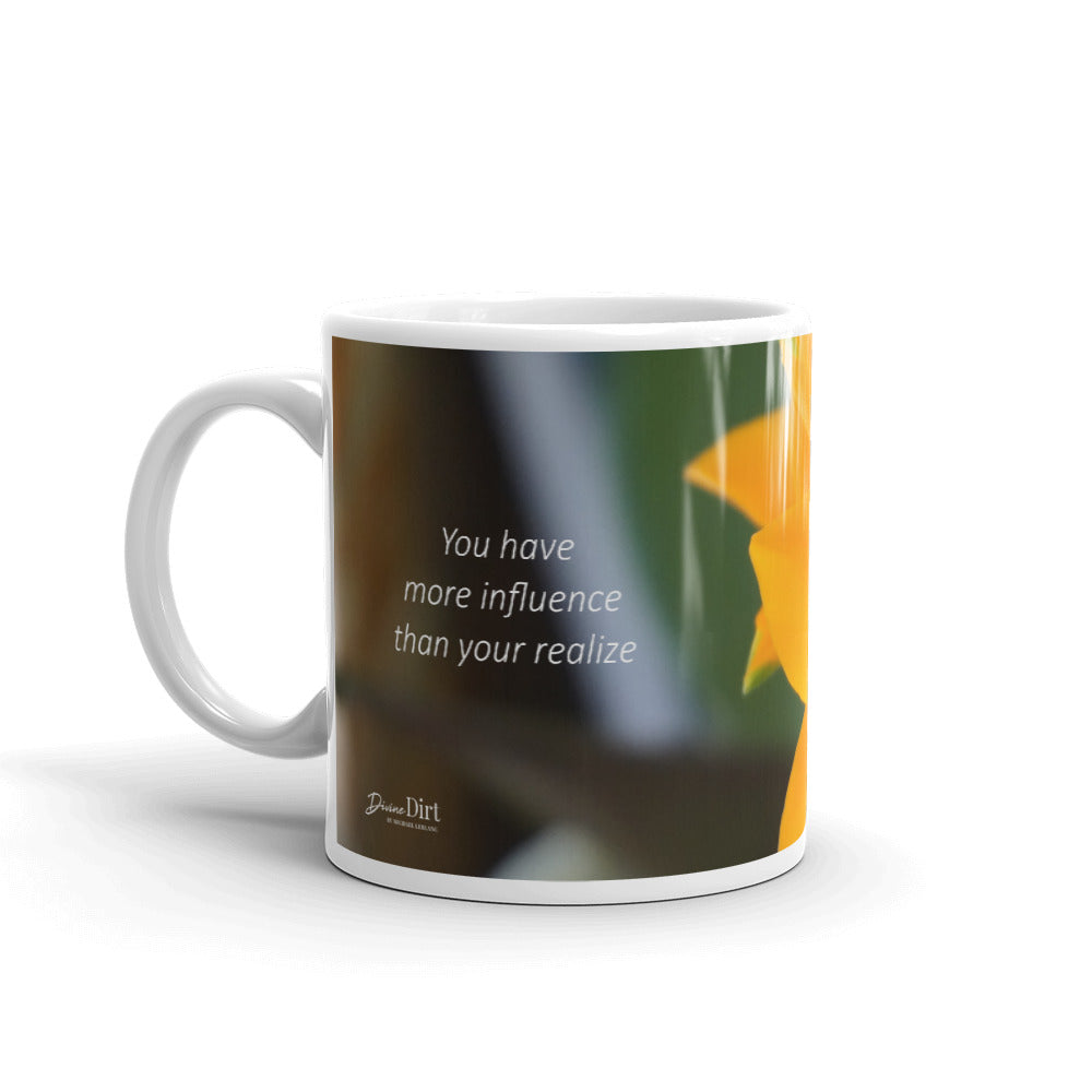 13a.  Orange Star  "You have more influence than your realize"