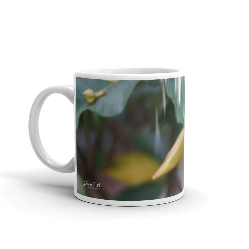 Yellow Allamanda without a message