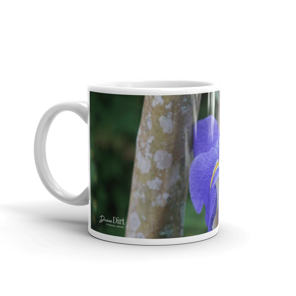 Purple Louisiana Iris without a message