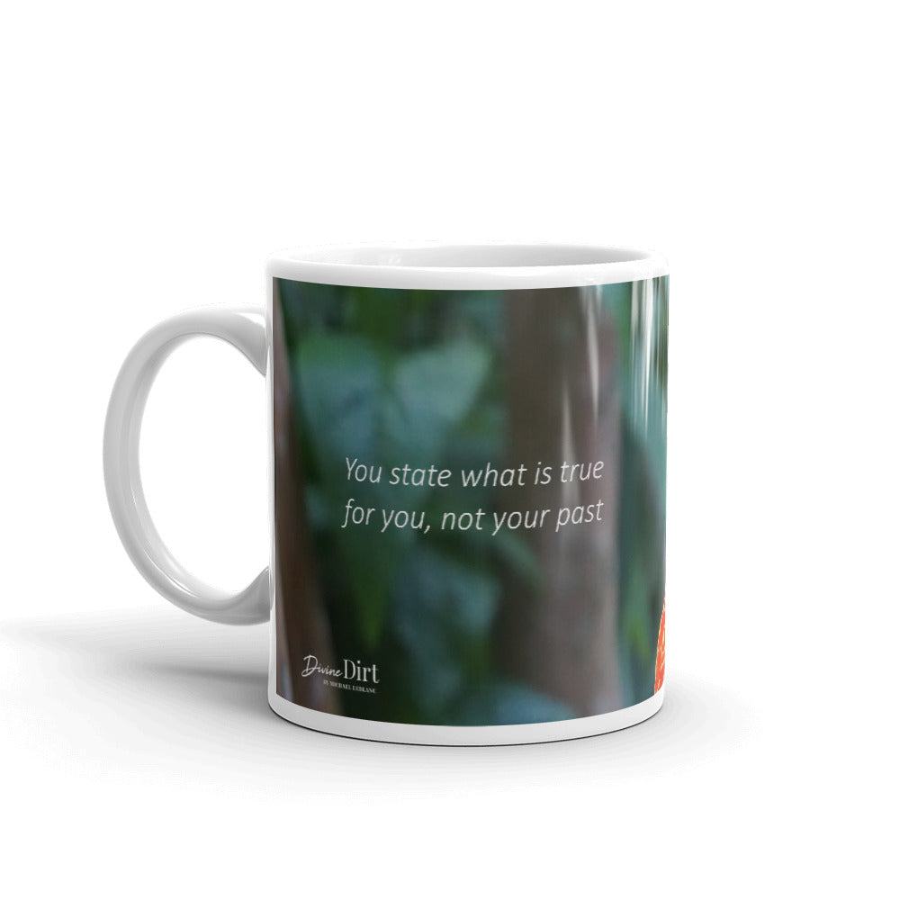 Orange Dwarf Canna-Picasso  "You state what is true for you, not your past"