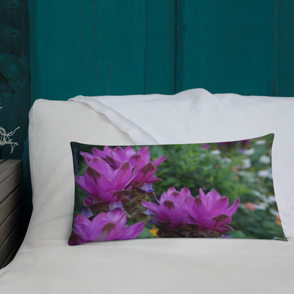 Pink Siam Tulips Premium Pillow with White Back