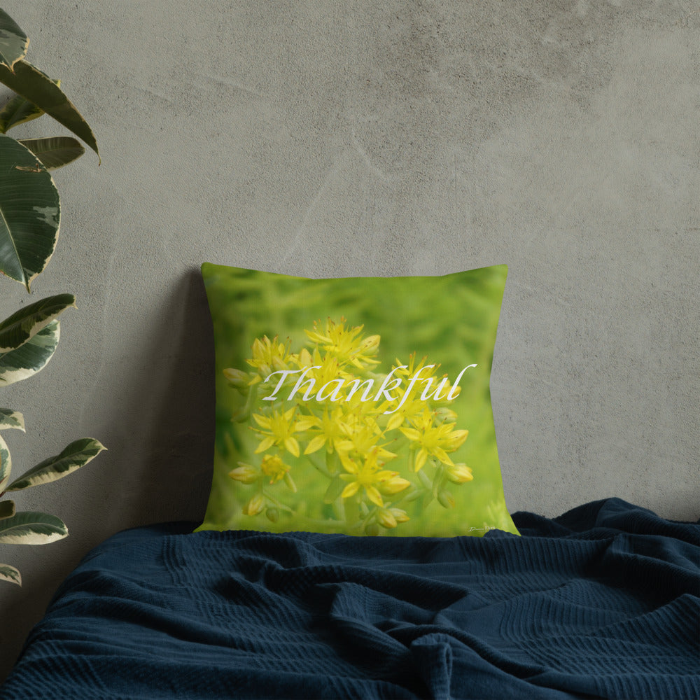 Lime Green Sedum with White Back Premium Pillow "Thankful"