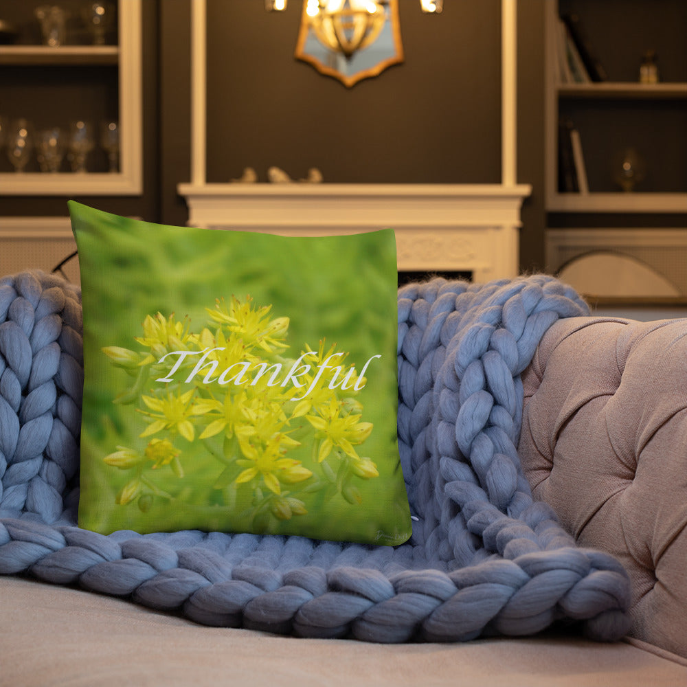 Lime Green Sedum with White Back Premium Pillow "Thankful"