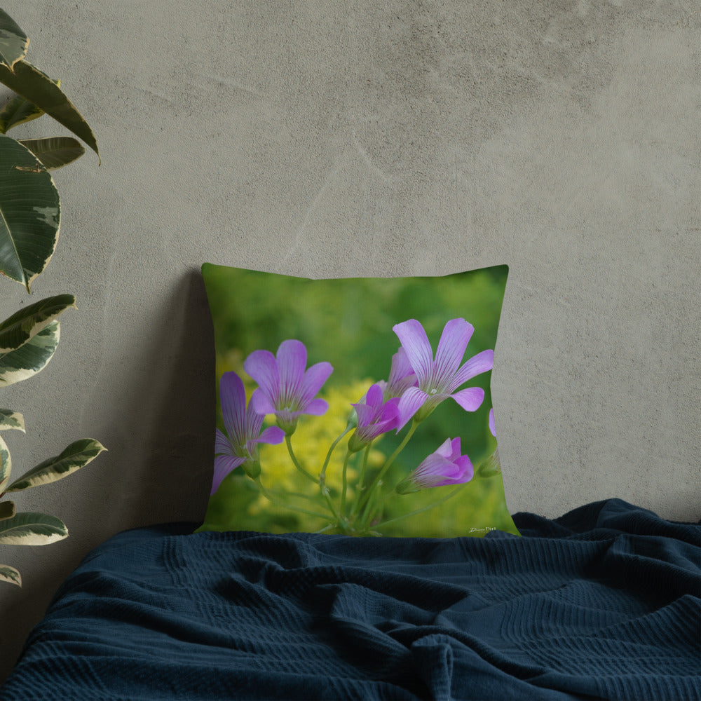 Pink Oxalis-Sedum Premium Pillow with Yellow Back