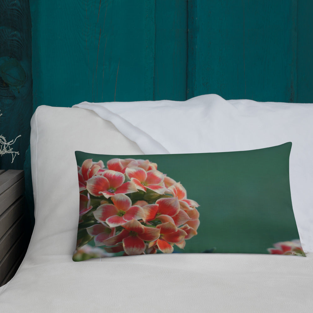 Orange Kalanchoe Premium Pillow 20x12