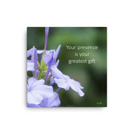 Blue Plumbago 12x12