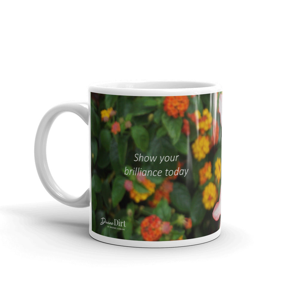 White Amaryllis.  "Show your brilliance today"