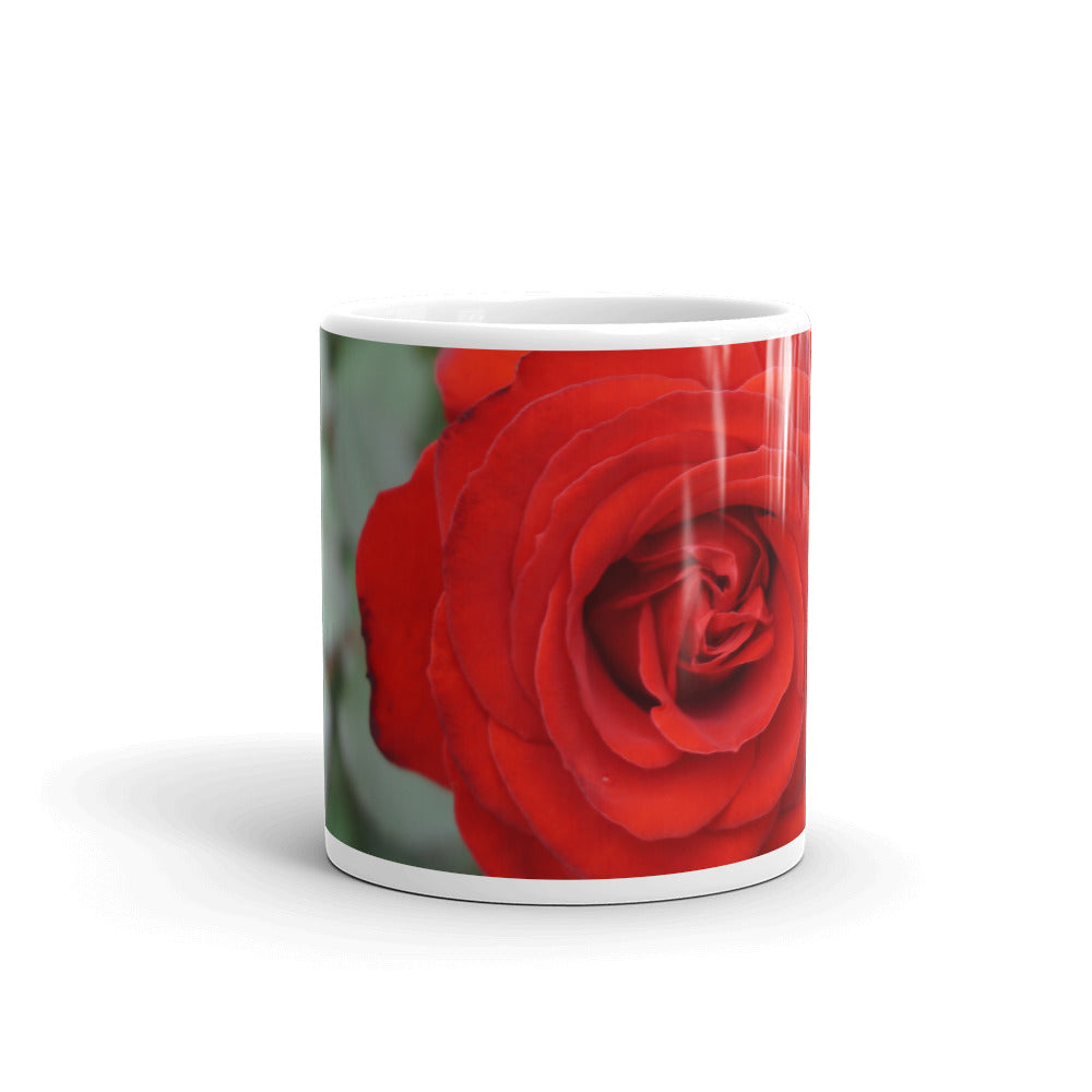 Red Rose without a message