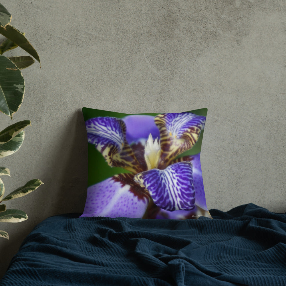 Purple Brazilian Iris Premium Pillow with White Back