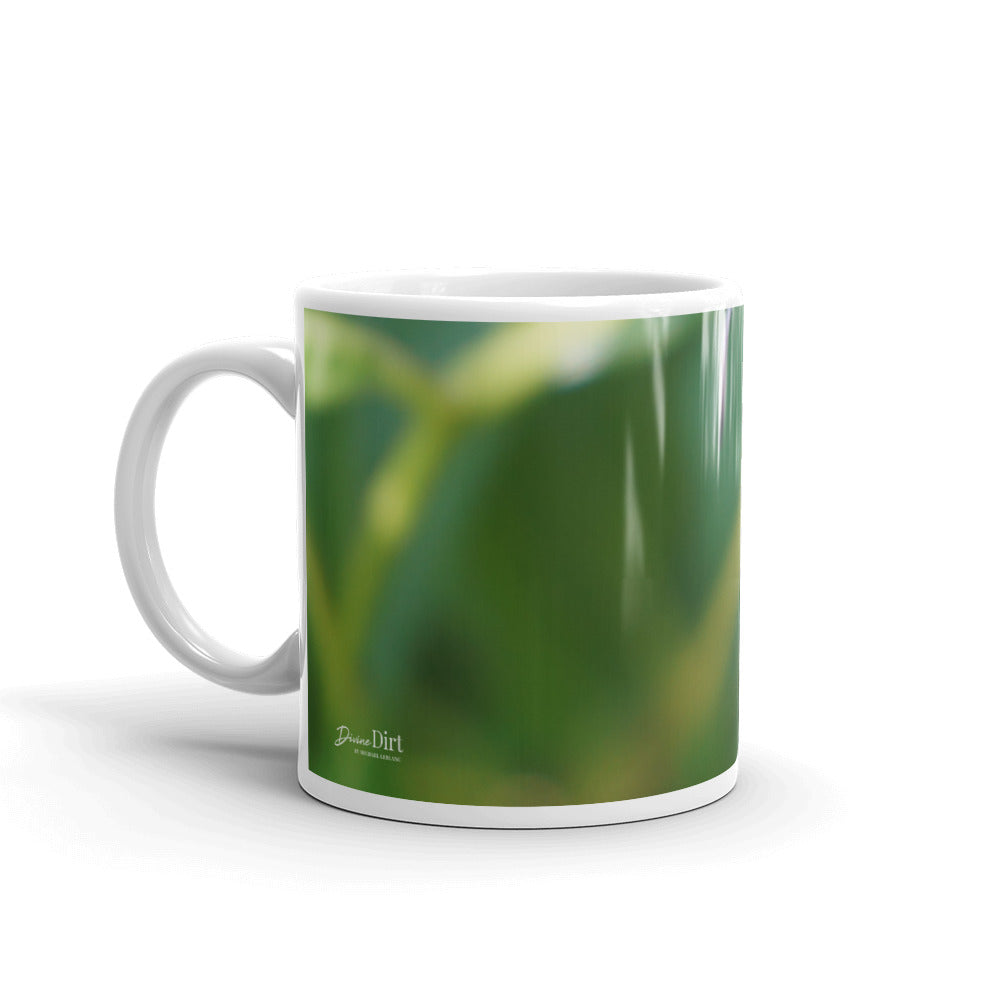 Butterfly Bush Clerodendrum (without message)