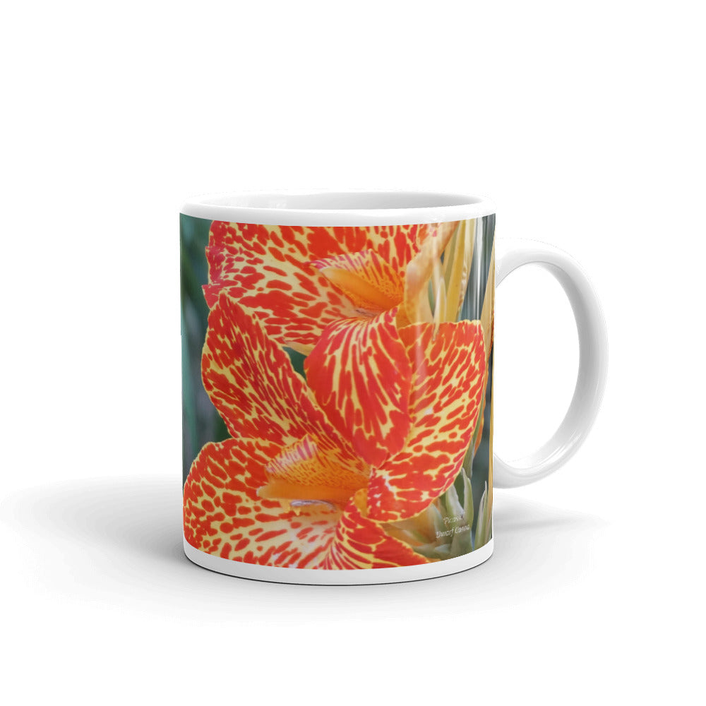 Orange Dwarf Canna-Picasso  "You state what is true for you, not your past"