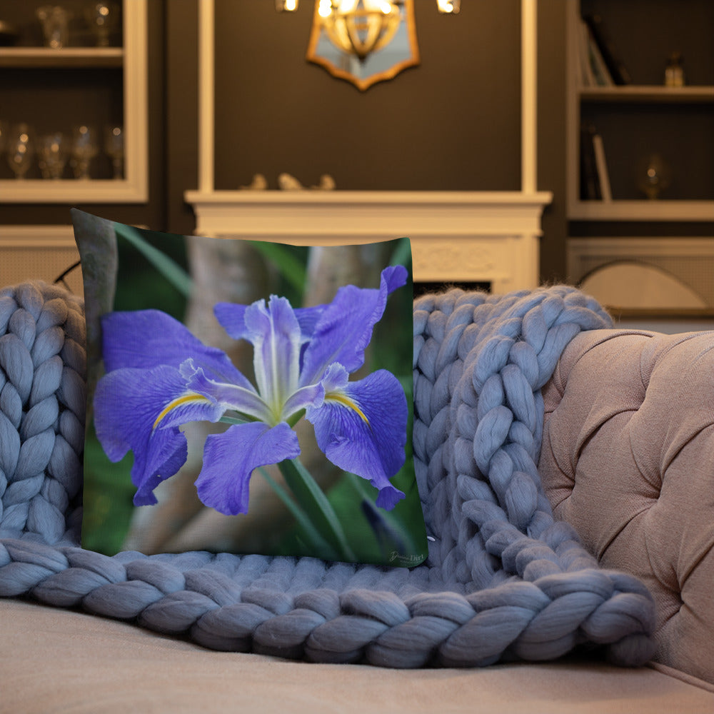Purple Louisiana Iris Premium Pillow with White Back
