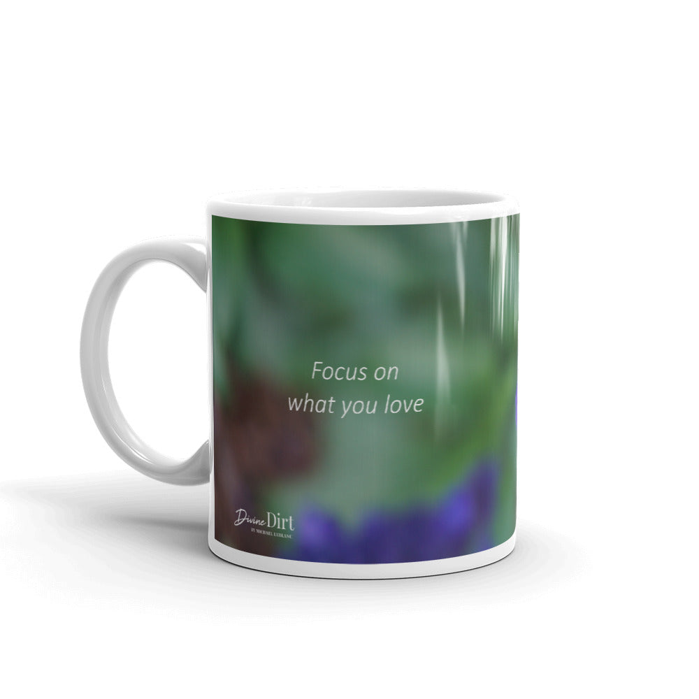 Purple Salvia-Indigo Spires  "Focus on what you love"