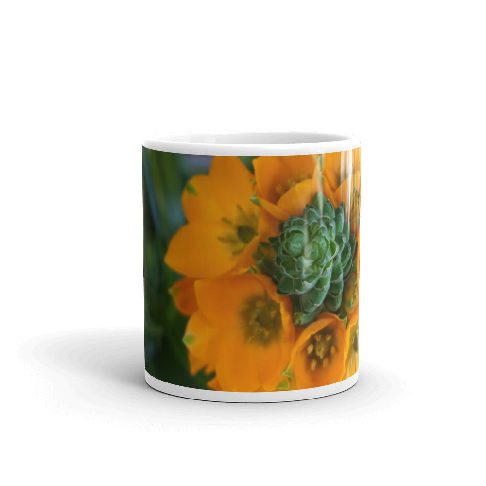 Orange Star without a message