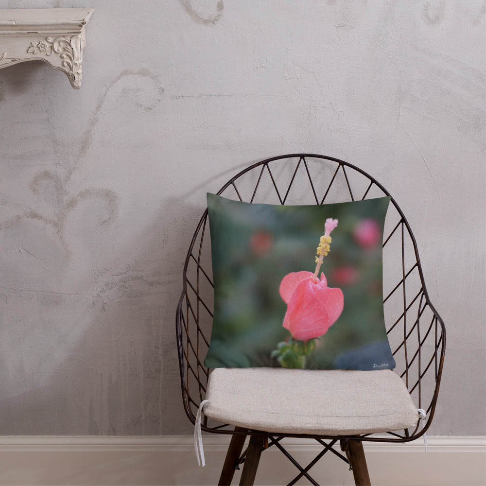 Pink Turks Cap Premium Pillow with Soft Grey Back