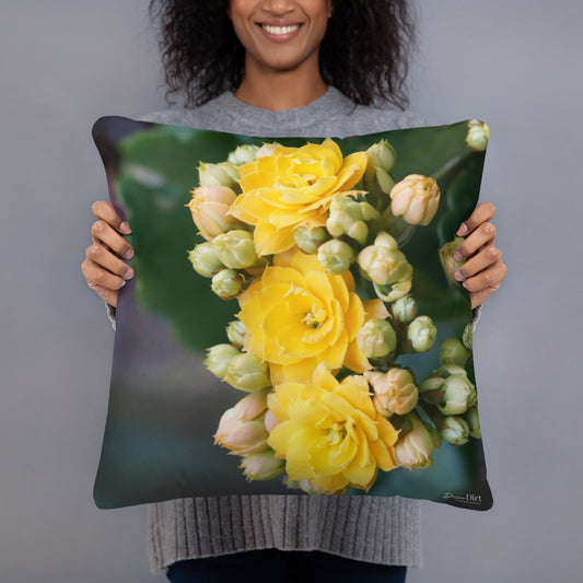 Yellow Kalanchoe Standard Pillow with Teal back