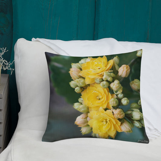 Yellow Kalanchoe Premium Pillow with Light Grey Back