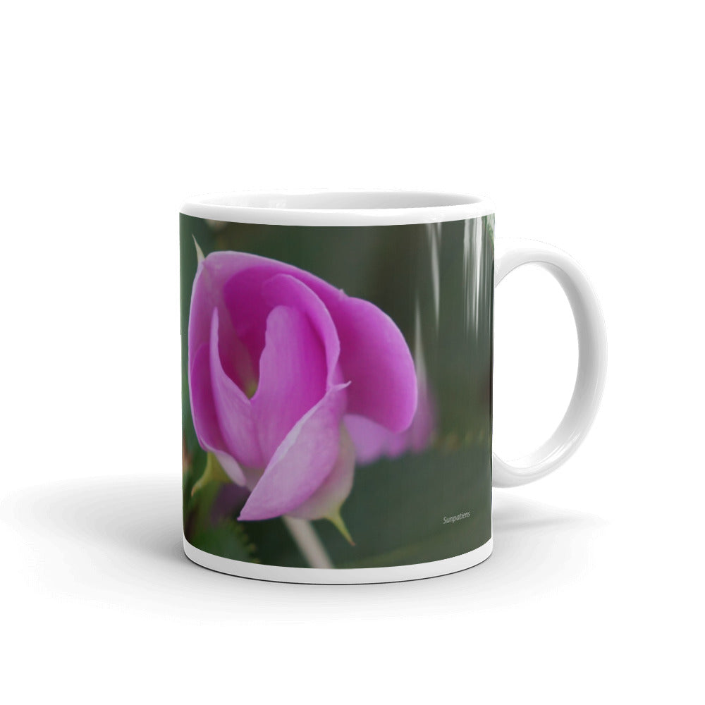 Pink Sunpatiens "Love Life"