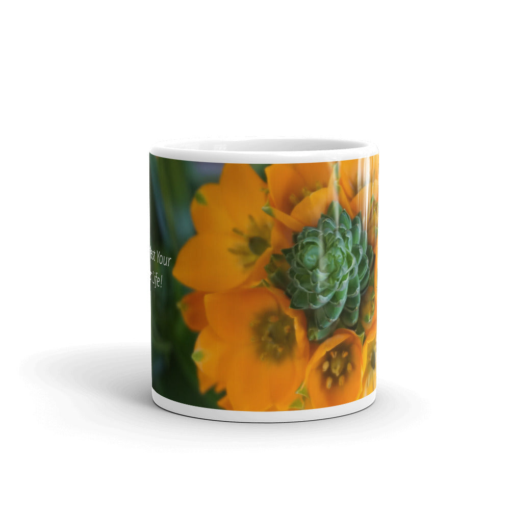 Orange Star  "Manifest Your Best Life!"