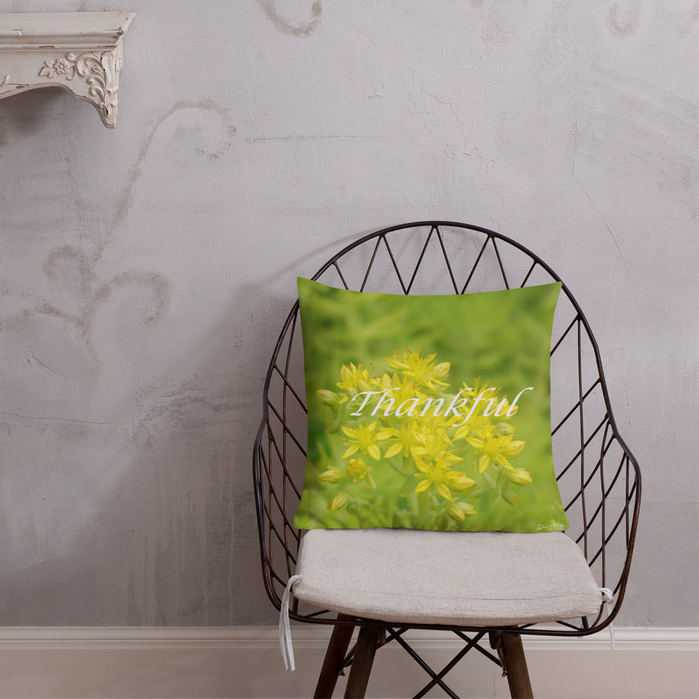 Lime Green Sedum with White Back Premium Pillow "Thankful"