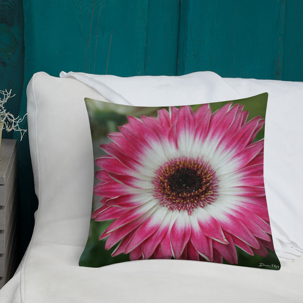 Pink Gerbera Daisy Premium Pillow with White Back