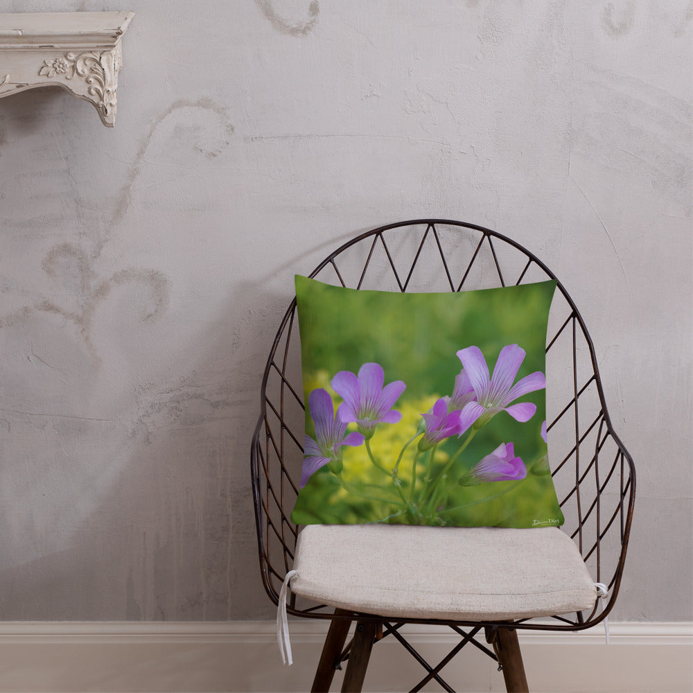 Pink Oxalis-Sedum Premium Pillow with Yellow Back