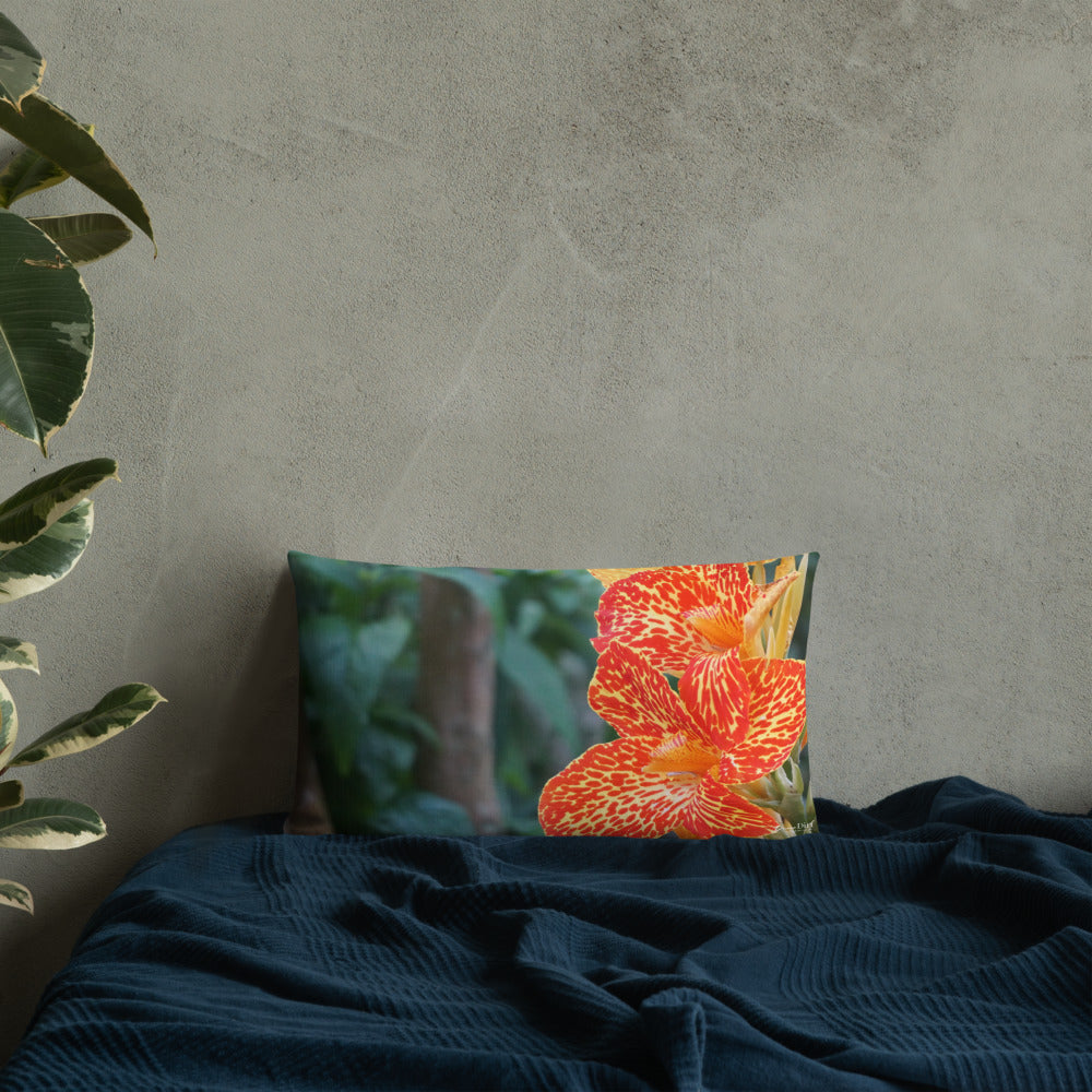 Orange Dwarf Canna 'Picasso' Premium Pillow with White Back