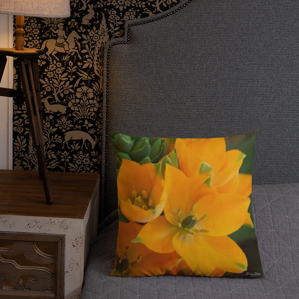 Orange Star Premium Pillow with White Back