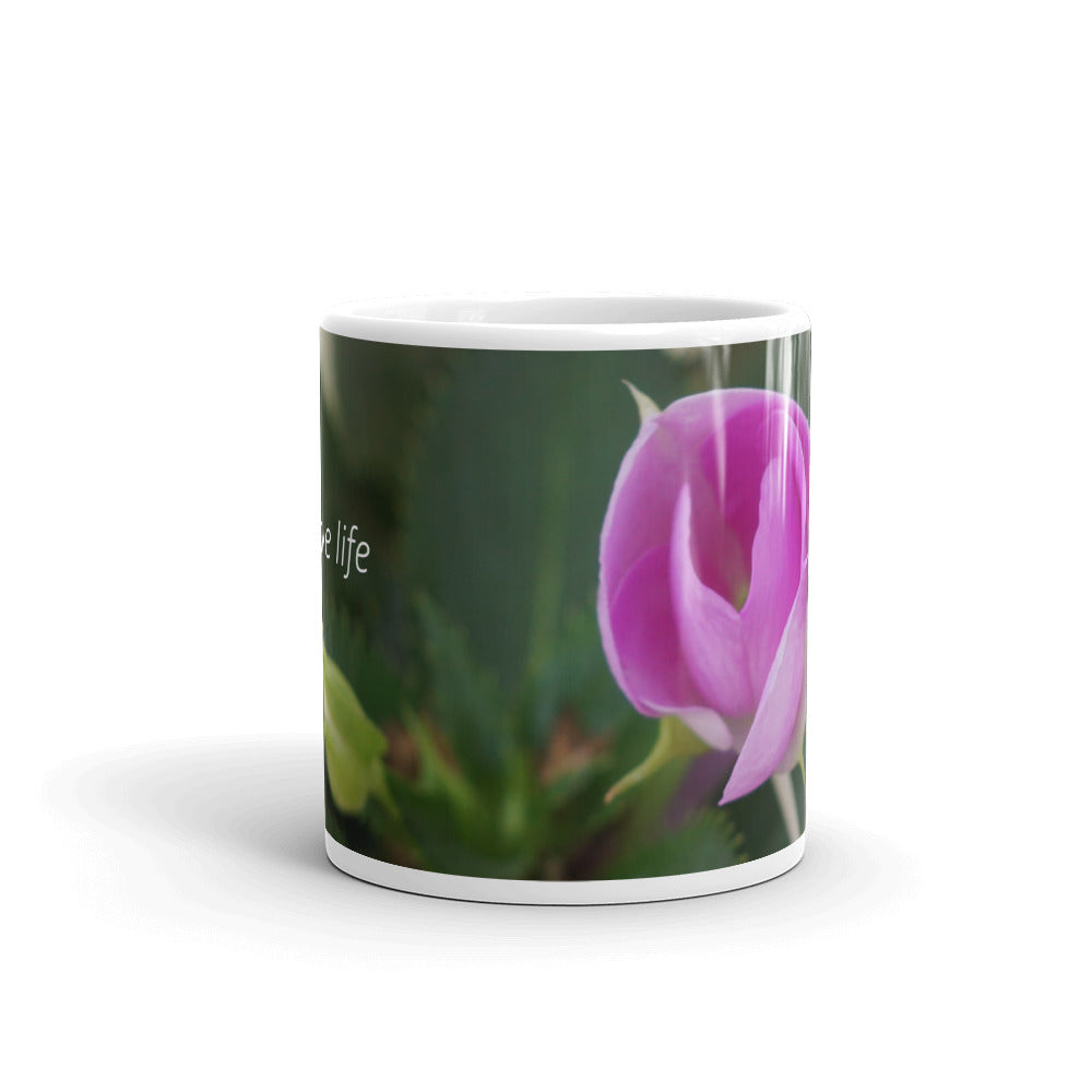 Pink Sunpatiens "Love Life"