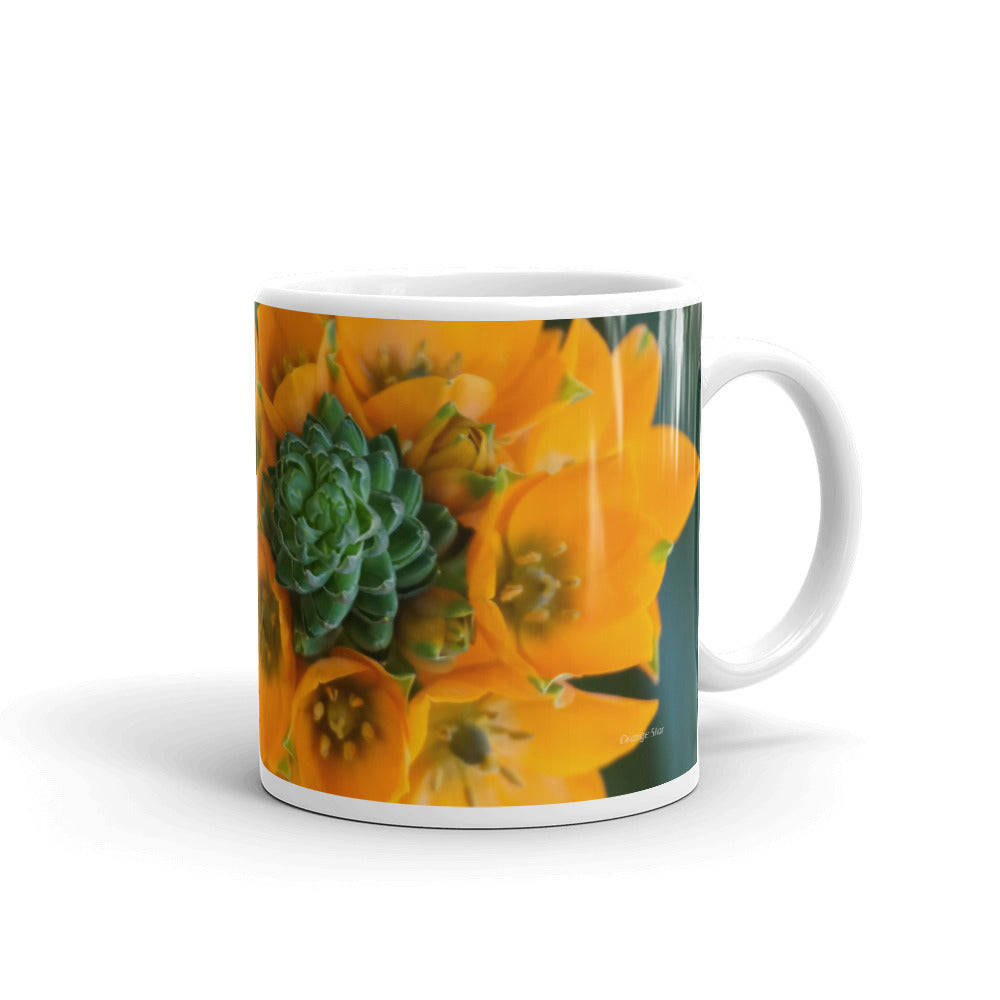 Orange Star  "Manifest Your Best Life!"