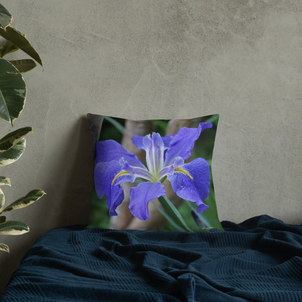 Purple Louisiana Iris Premium Pillow with White Back