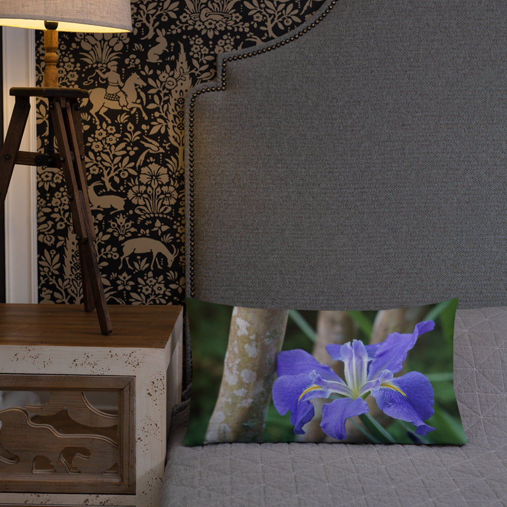 Purple Louisiana Iris Premium Pillow with White Back