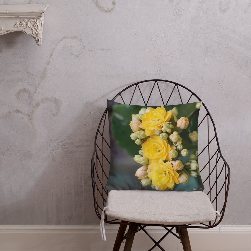 Yellow Kalanchoe Premium Pillow-Teal Back