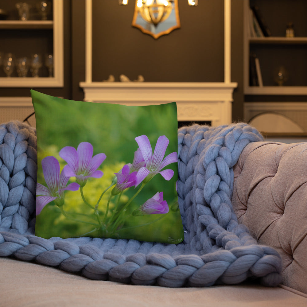 Pink Oxalis-Sedum Premium Pillow with Yellow Back